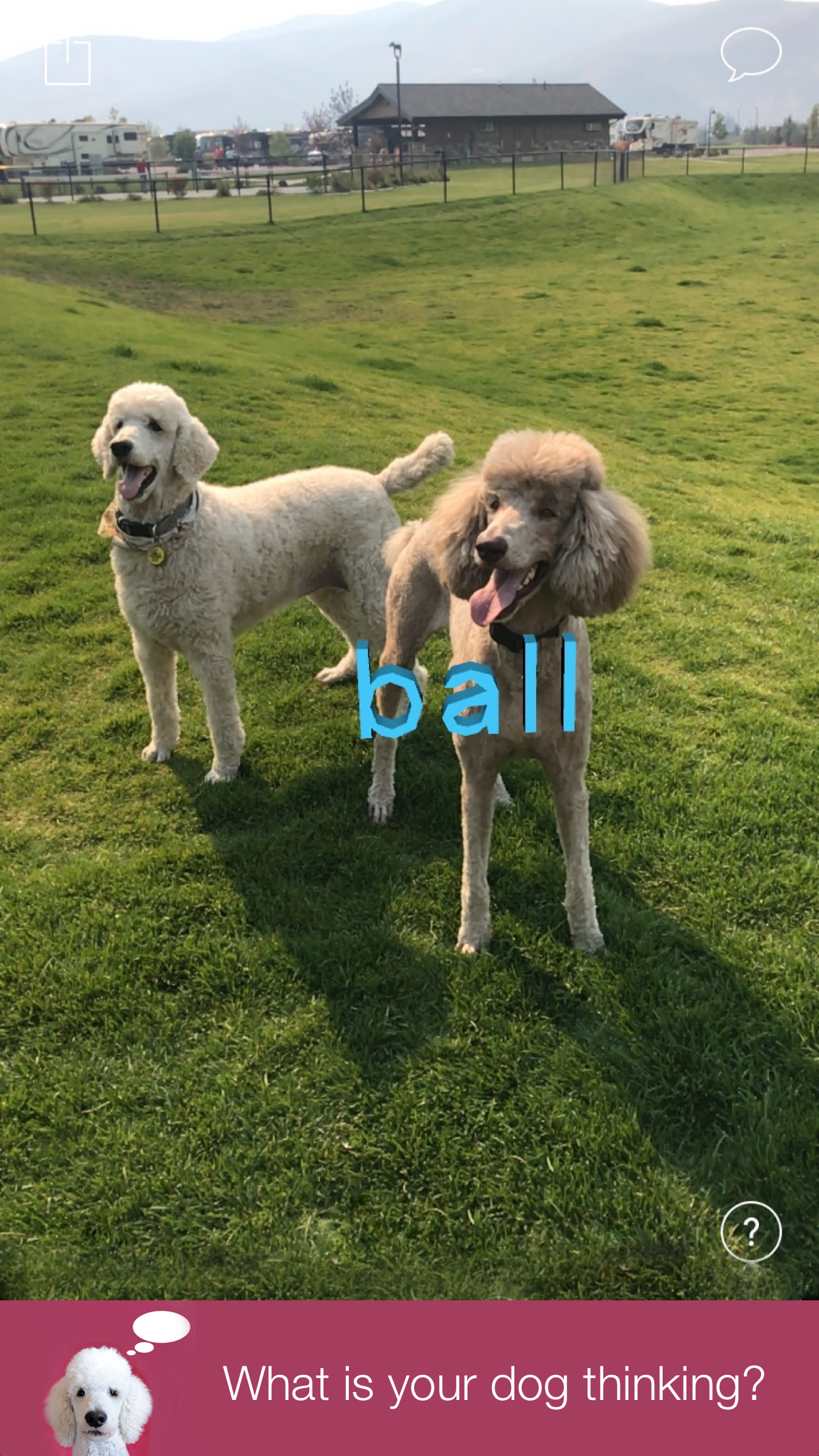 AnimalAnalysis screenshot